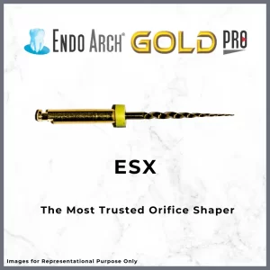 Endo Arch Gold Pro Rotary Files - ESX, 19mm