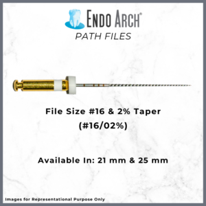 Endo Arch Path Rotary File