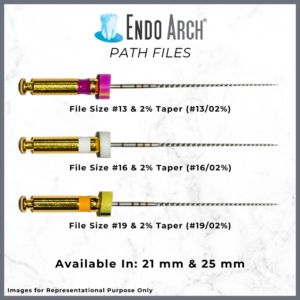 Endo Arch Path Rotary File
