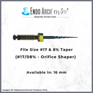 Endo Arch Mini Rotary Files